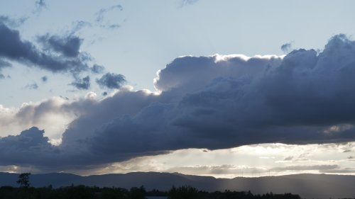 P1001031